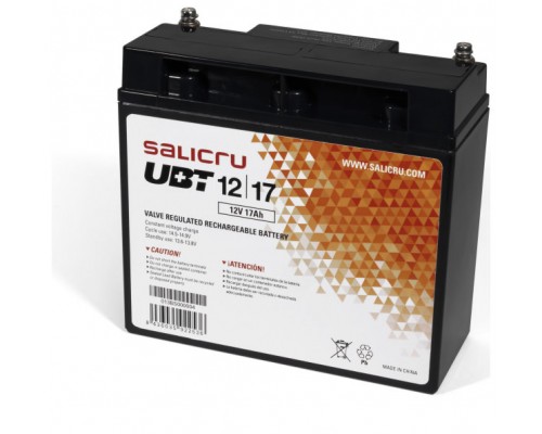 Salicru UBT 12/17 - Batería AGM recargable de 17 Ah (Espera 4 dias)