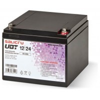 SALICRU BATERIA UBT 12/24 AGM RECARGABLE DE 24 AH/ 12 V (Espera 4 dias)-SX40 SALICRU BATERIA UBT 12/24 AGM RECARGABLE DE 24 AH/ 12 V (Espera 4 dias)
