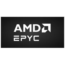 AMD EPYC 9555 (Espera 4 dias)-SX20 AMD EPYC 9555 (Espera 4 dias)