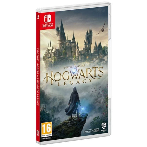 NINTENDO-NS-J HOGWARTS LEG STD