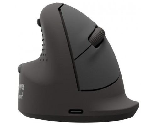 RAT&Oacute;N ERGON&Oacute;MICO VERTICAL BREYTA PLUS+ TALLA M PARA ZURDOS FELLOWES 100143583 (Espera 4 dias)