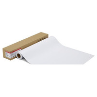 CANON Papel Photo Paper Pro Platinum 300 - 24 inch-IR30 CANON Papel Photo Paper Pro Platinum 300 - 24 inch