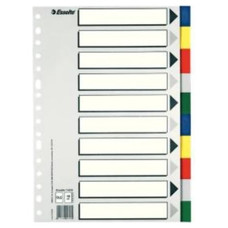 SEPARADOR DE POLIPROPILENO CON 10 POSICIONES FORMATO FOLIO COLORES VIVOS ESSELTE 11610 (Espera 4 dias)-SX38 SEPARADOR DE POLIPROPILENO CON 10 POSICIONES FORMATO FOLIO COLORES VIVOS ESSELTE 11610 (Espera 4 dias)
