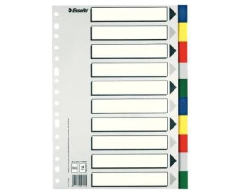 SEPARADOR DE POLIPROPILENO CON 10 POSICIONES FORMATO FOLIO COLORES VIVOS ESSELTE 11610 (Espera 4 dias)-SX38 SEPARADOR DE POLIPROPILENO CON 10 POSICIONES FORMATO FOLIO COLORES VIVOS ESSELTE 11610 (Espera 4 dias)
