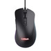 RATON TRUST GXT 924 YBARP BK
