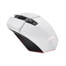 MOUSE TRUST GAMING WIRELESS RGB GXT 110W FELOX 25069-SX30 MOUSE TRUST GAMING WIRELESS RGB GXT 110W FELOX 25069