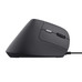RATON TRUST BAYO II WIRED BK
