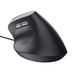 RATON TRUST BAYO II WIRED BK