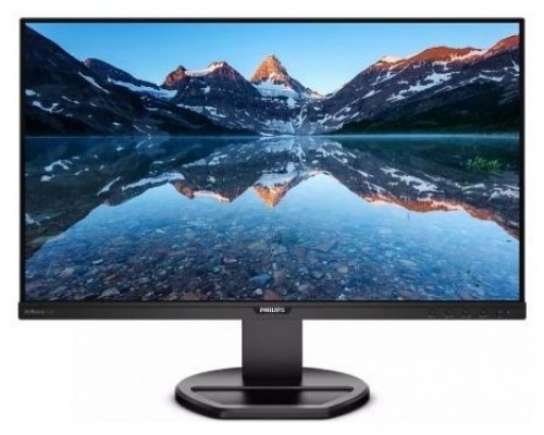 MONITOR PHILIPS 252B9