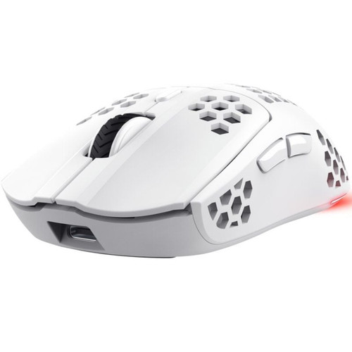 RATON TRUST GXT 929 HELOX WH