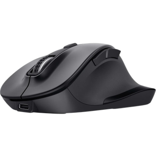 RATON TRUST FYDA MULTI BK-SX30 RATON TRUST FYDA MULTI BK
