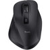 RATON TRUST FYDA MULTI BK-SX30 RATON TRUST FYDA MULTI BK