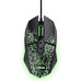 RATON TRUST GXT 113 FELOX BK