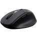 RATON TRUST ZEVO BK-SX30 RATON TRUST ZEVO BK