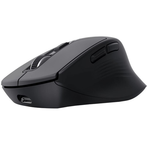 RATON TRUST NIVEN CONF BK-SX30 RATON TRUST NIVEN CONF BK