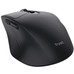 RATON TRUST NIVEN CONF BK-SX30 RATON TRUST NIVEN CONF BK