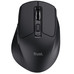 RATON TRUST NIVEN CONF BK-SX30 RATON TRUST NIVEN CONF BK