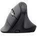 RATON TRUST VYRAN ERGO BK-SX30 RATON TRUST VYRAN ERGO BK