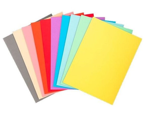 EXACOMPTA Paq.100 subcarpetas Forever 220g colores surtidos-IR40 EXACOMPTA Paq.100 subcarpetas Forever 220g colores surtidos