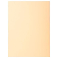 EXACOMPTA Paq.100 subcarpetas Forever 220g crema