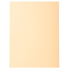 EXACOMPTA Paq.100 subcarpetas Forever 220g crema