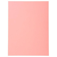 EXACOMPTA Paq.100 subcarpetas Forever 220g rosa