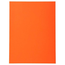 EXACOMPTA Paq.100 subcarpetas Forever 220g naranja