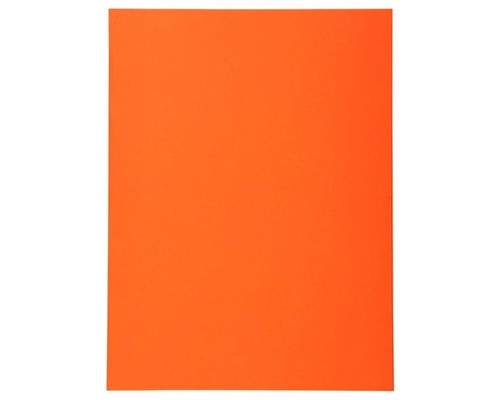 EXACOMPTA Paq.100 subcarpetas Forever 220g naranja
