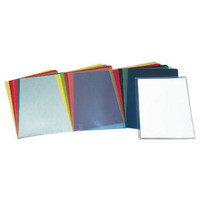 ESSELTE C.100 dossiers u&ntilde;eros PP 30P folio transparente