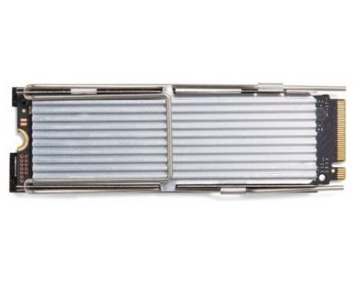 HP-SSD 4N010AA