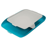 LEITZ Bandeja de sobremesa c/organizador Cosy azul