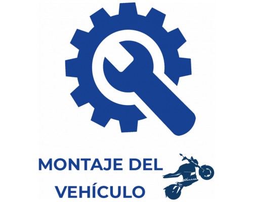 Montaje Vehículo Eléctrico Solo España (Península) (Espera 2 dias)