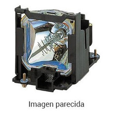 BENQ PROYECTOR ACCESORIOS  (5J.JED05.A01) LAMP MODULE TH68 (Espera 4 dias)
