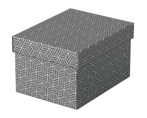 ESSELTE ESSELTE Paq.3 cajas de almacenaje Esselte 25,5x20x15cm gris-IR30 ESSELTE ESSELTE Paq.3 cajas de almacenaje Esselte 25,5x20x15cm gris