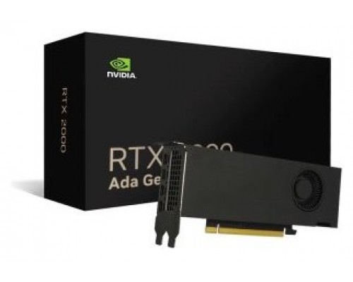 Vga Nvidia Rtx 2000 Ada 16 Gb Gddr6 2 Brackets.