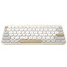 ASU-TEC MARSH KW100 BG-DU30 ASU-TEC MARSH KW100 BG