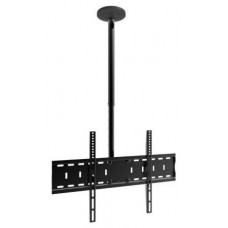 Soporte De Techo Approx Appstt02 Para Pantalla