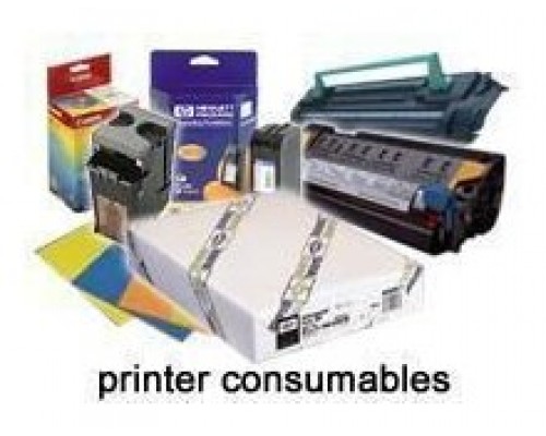Epson GF Papel Premium Glossy Photo, Rollo de 44" x 30,5m. - 260g/m2