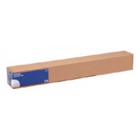 Epson GF Papel Water Resistant Matte Canvas, 17"  x 12.2m, 375g/m2