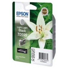 Epson Stylus Photo R-2400 Cartucho Gris Claro