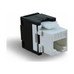 2LAN Conector RJ45 CAT.6 UTP Hembra TOOLESS 180&ordm;.