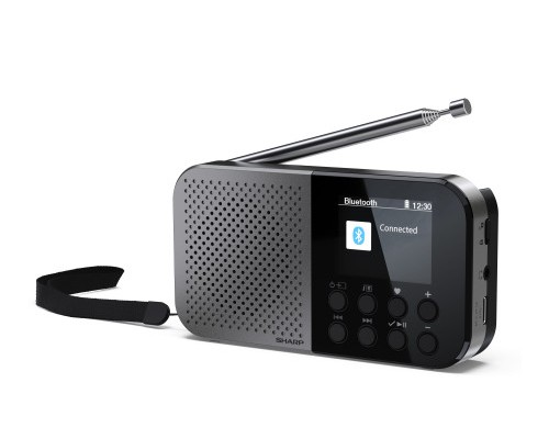 Sharp DR-P520 Personal Digital Gris (Espera 4 dias)