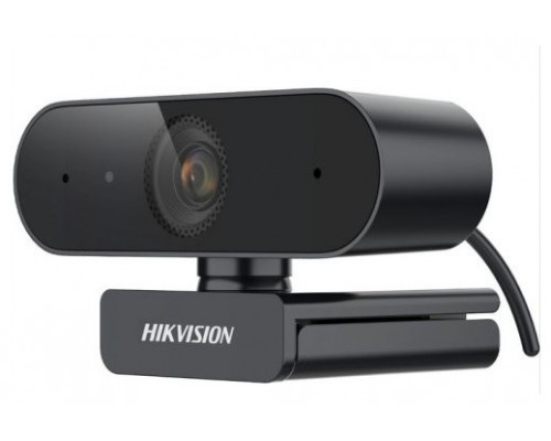 Hikvision Digital Technology DS-U02 cámara web 2 MP 1920 x 1080 Pixeles USB Negro (Espera 4 dias)