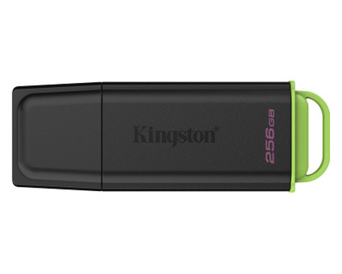MEMORIA KINGSTON-JETFLASH DTXG2 256GB