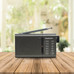 DAE-RADIO DW1035-SX30 DAE-RADIO DW1035