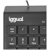 iggual Teclado num&eacute;rico USB CK-NUM-19T negro