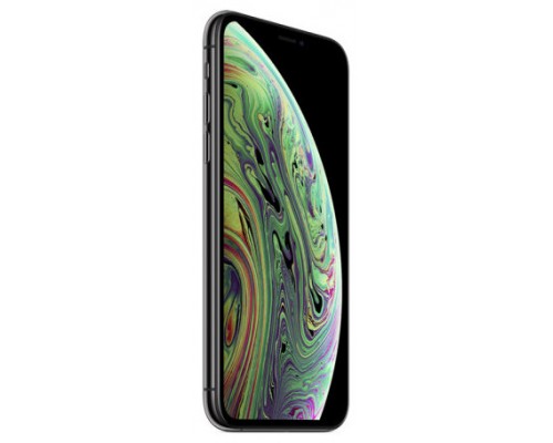 APPLE IPHONE XS 64GB GRAY SEMINUEVO GRADE A (Espera 4 dias)