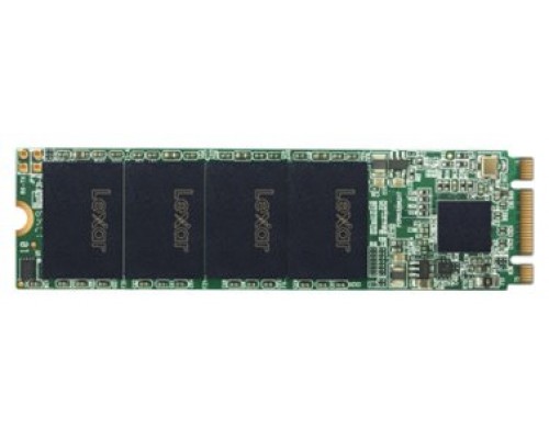 Lexar NM100 M.2 256 GB Serial ATA III (Espera 4 dias)