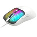 RATON TACENS MM-VIPER WH