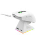 RATON TACENS MMW-ELITE WH